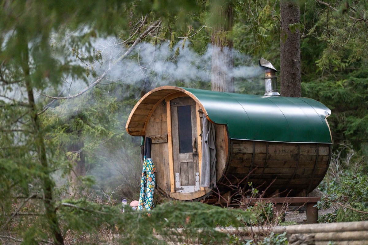 Wood-fired barrel sauna with a green roof and smoke rising from the chimney among cedar trees